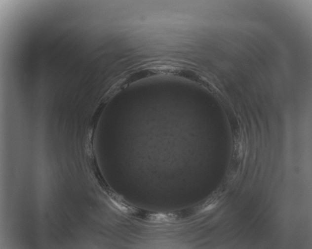 X0000072530239200607211457