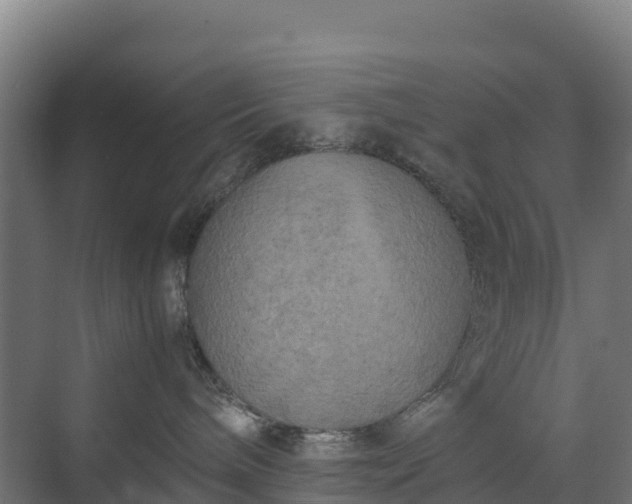 X0000072530240200607211457