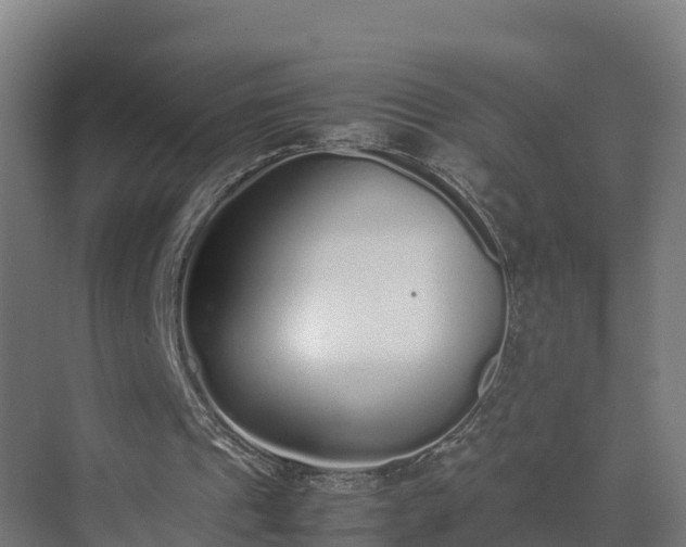 X0000072530241200607211456