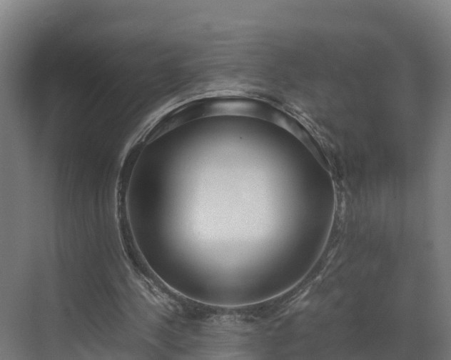 X0000072530244200607211456