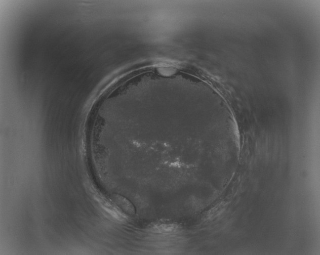 X0000072530247200607211457