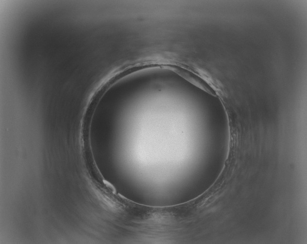 X0000072530248200607211457