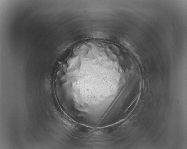 X0000072530249200607211457