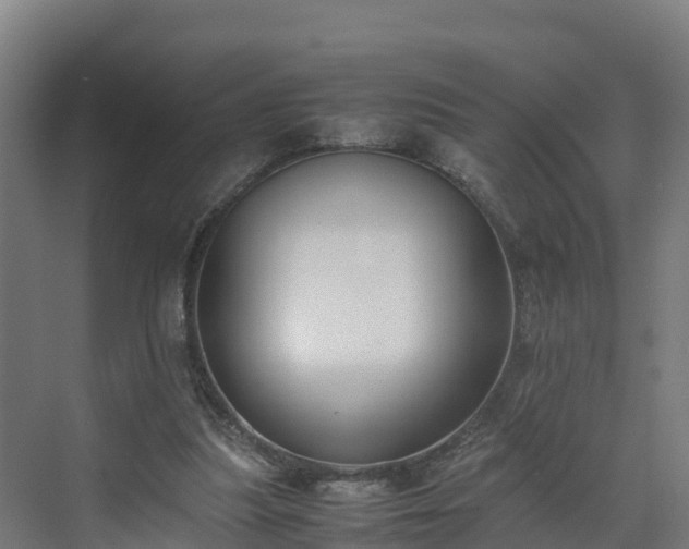 X0000072530251200607211457