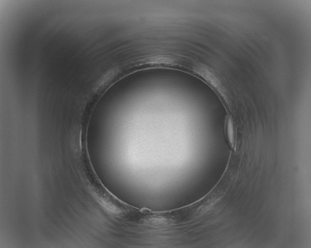 X0000072530253200607211457