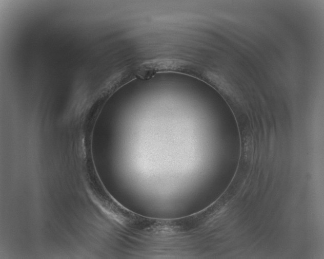 X0000072530254200607211457