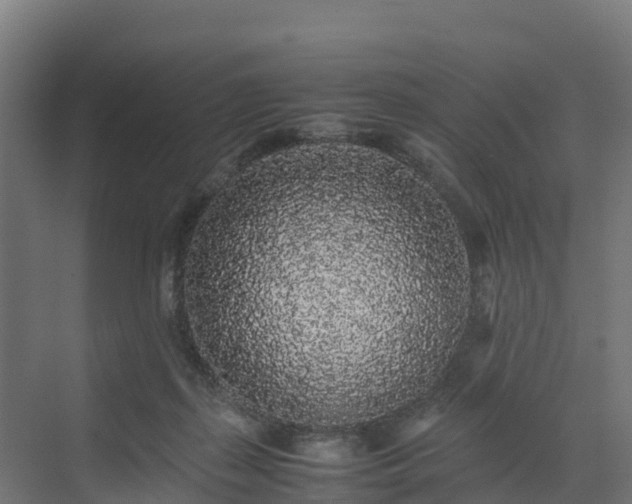 X0000072530267200607211457