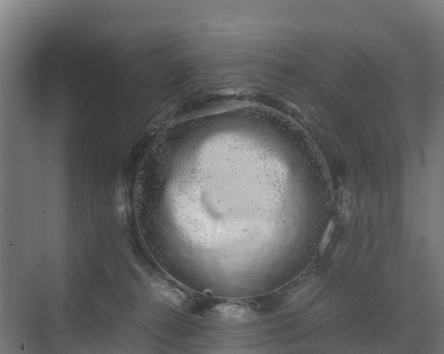 X0000072530272200607211457