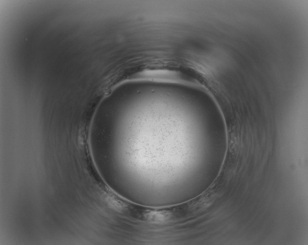 X0000072530277200607211457