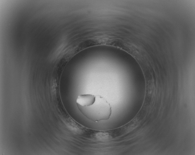 X0000072530279200607211457