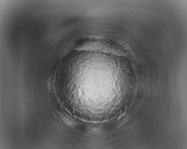 X0000072530285200607211457