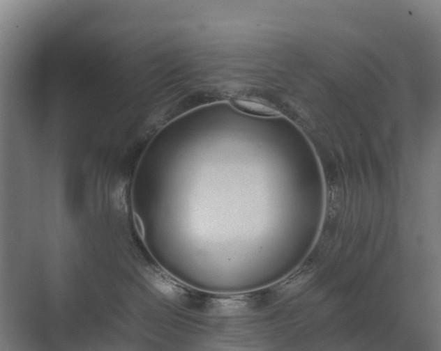 X0000072530286200607211457