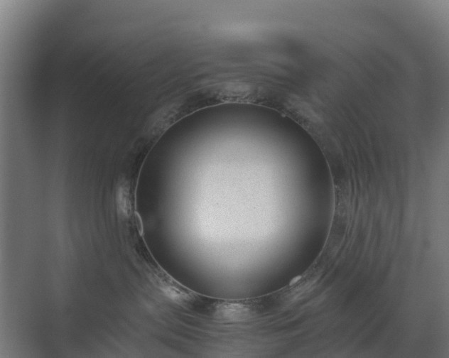 X0000072530287200607211457