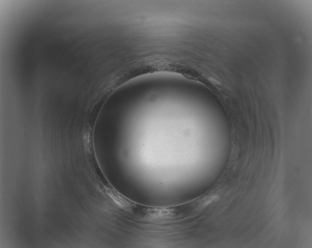 X0000072530288200607211457