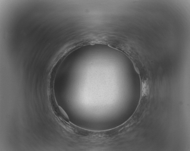 X0000072530291200607211456