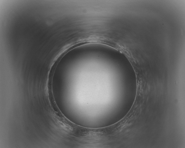 X0000072530292200607211456