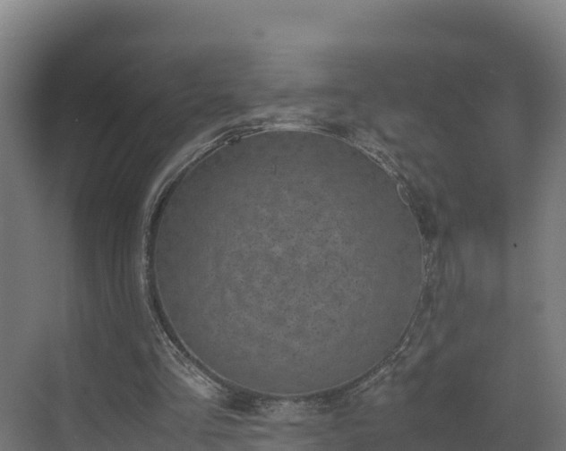 X0000072530293200607211456