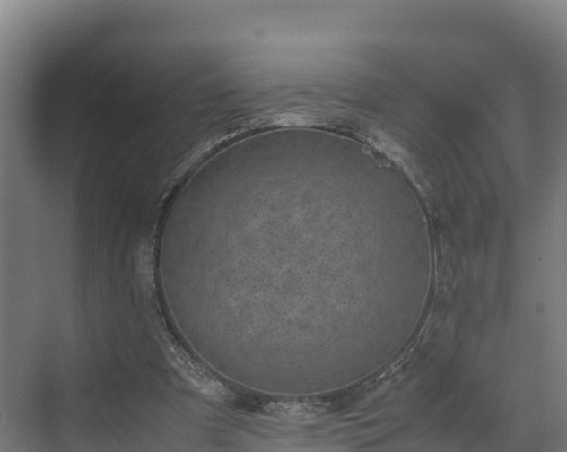 X0000072530297200607211456