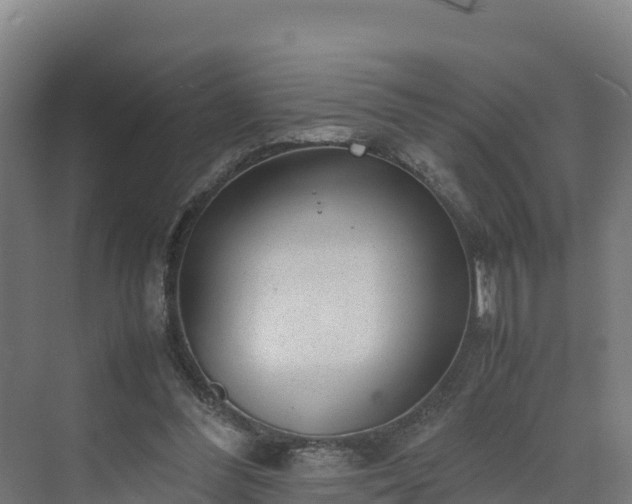 X0000072530300200607211456