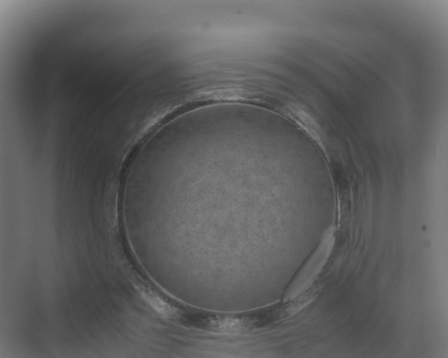 X0000072530301200607211456