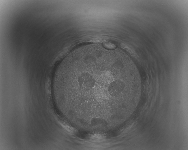 X0000072530303200607211456