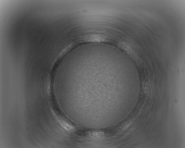 X0000072530304200607211456