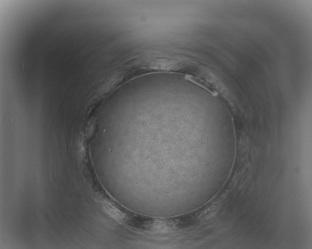 X0000072530305200607211456