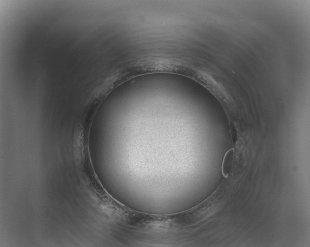 X0000072530306200607211456