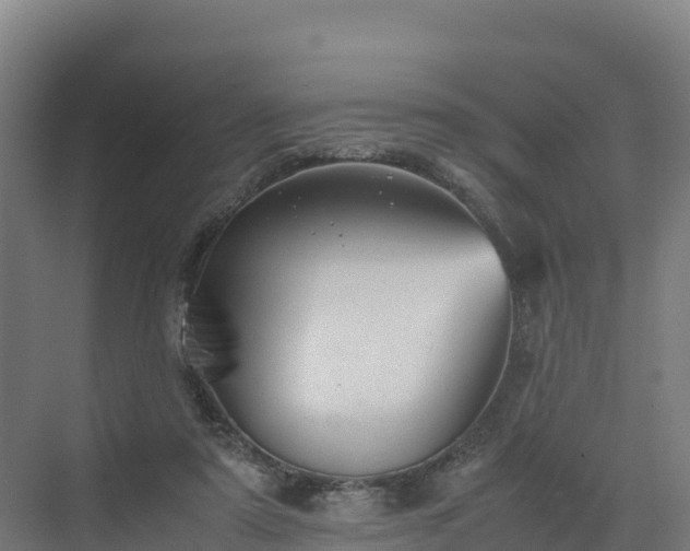 X0000072530307200607211456