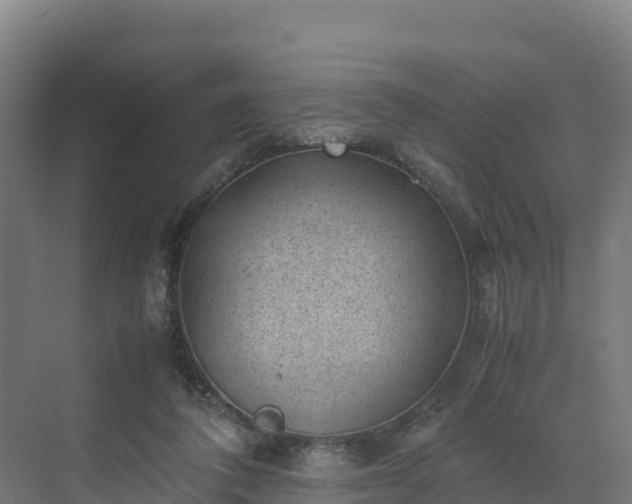 X0000072530308200607211456