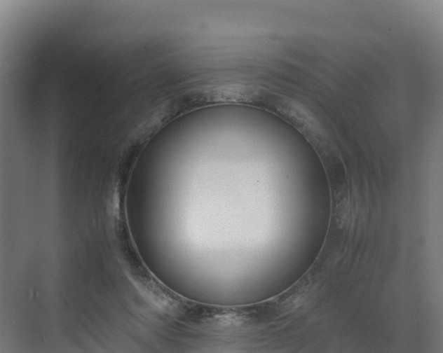 X0000072530310200607211456