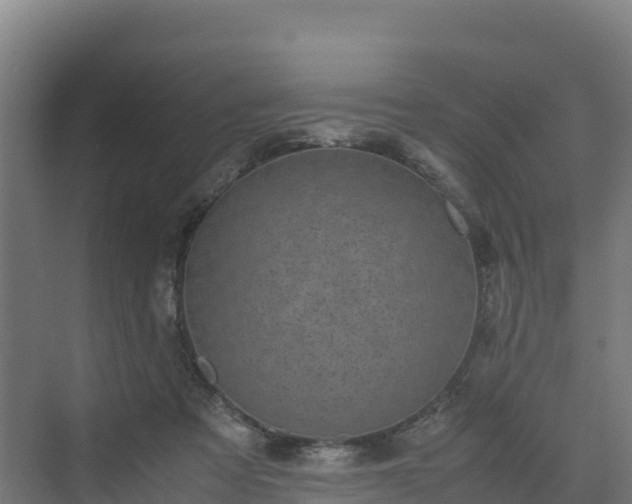 X0000072530313200607211456