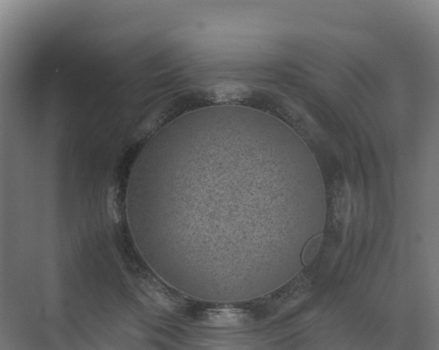 X0000072530316200607211456