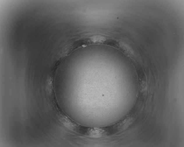 X0000072530321200607211456