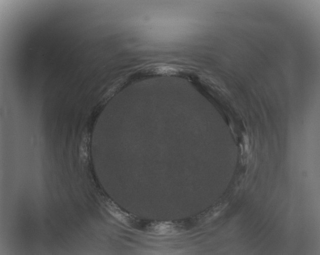 X0000072530325200607211456