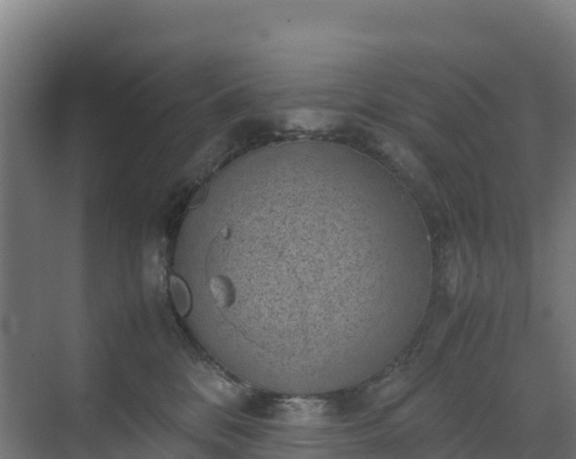 X0000072530328200607211456