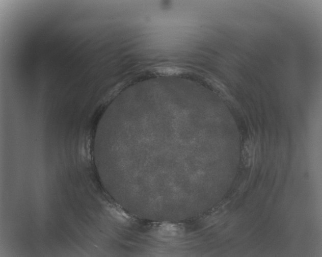 X0000072530330200607211456