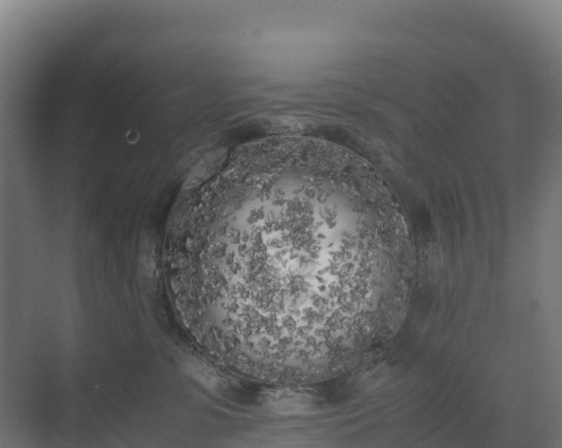 X0000072530331200607211456