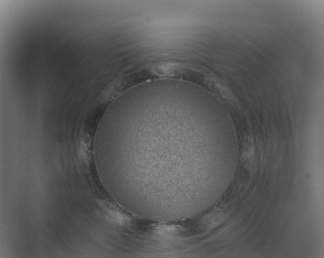 X0000072530332200607211456