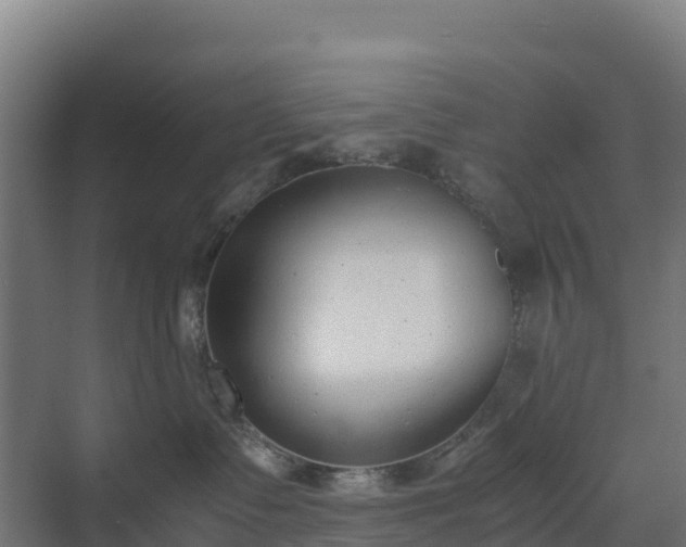 X0000072530335200607211456