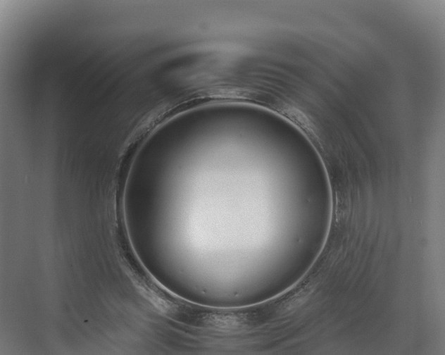 X0000072530349200607211455