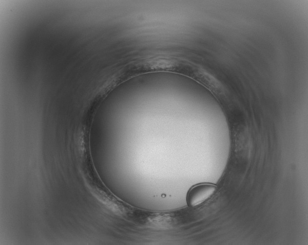 X0000072530362200607211455