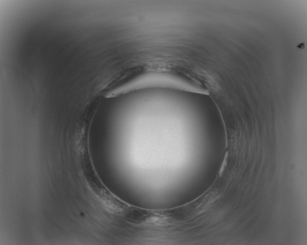 X0000072530364200607211455