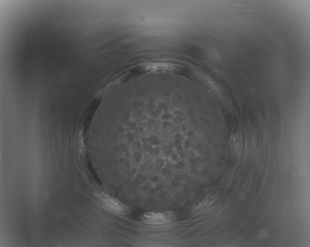 X0000072530381200607211456