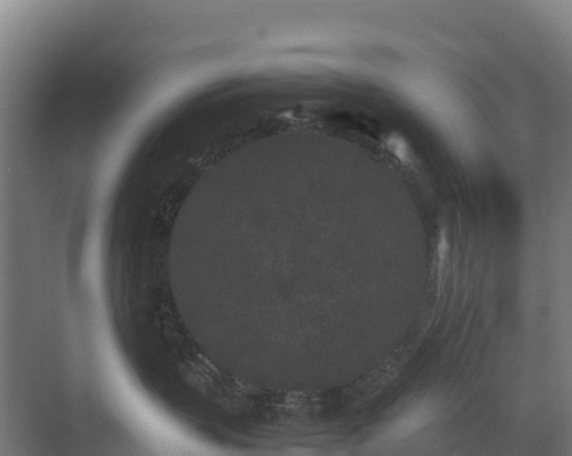 X0000072530383200607211456