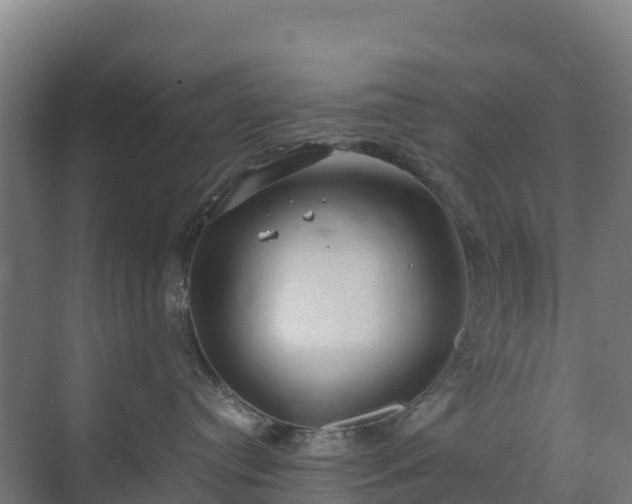 X0000072530384200607211456