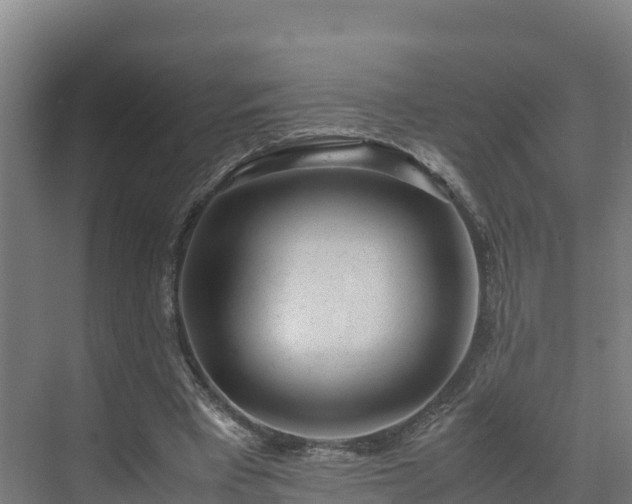 X0000072530393200607211455