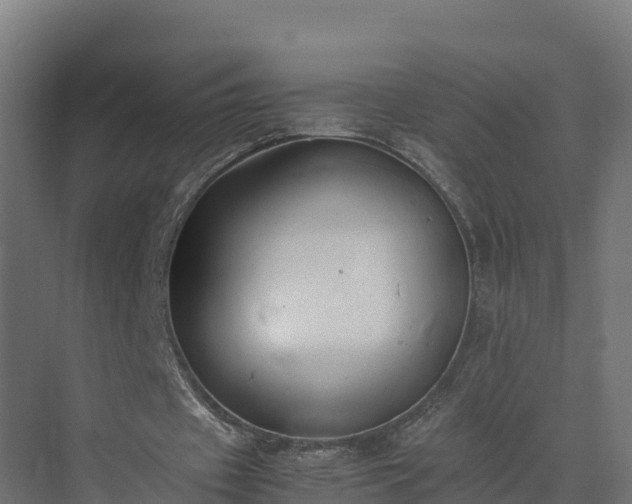 X0000072530433200607211453