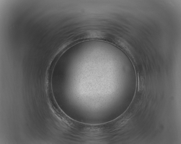 X0000072530435200607211453