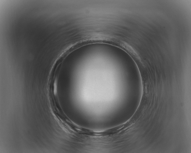 X0000072530436200607211453